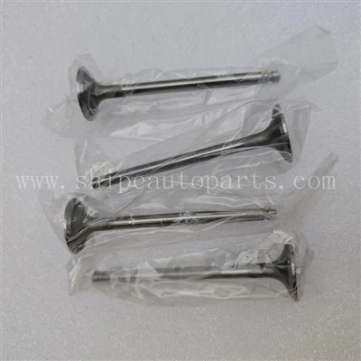 490B-03015 שסתום פליטה עבור XINCHAI C490BPG מנוע HELI